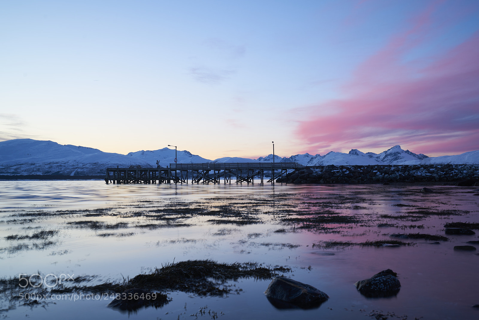 Sony a7R II sample photo. Picturing the sunset photography