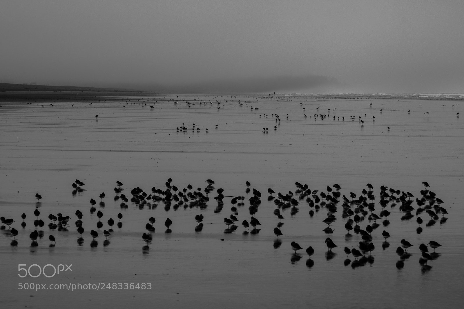 Fujifilm X-T2 sample photo. Gray day at the photography