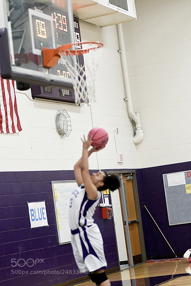 Nikon D500 sample photo. 2-27_0794.jpg photography