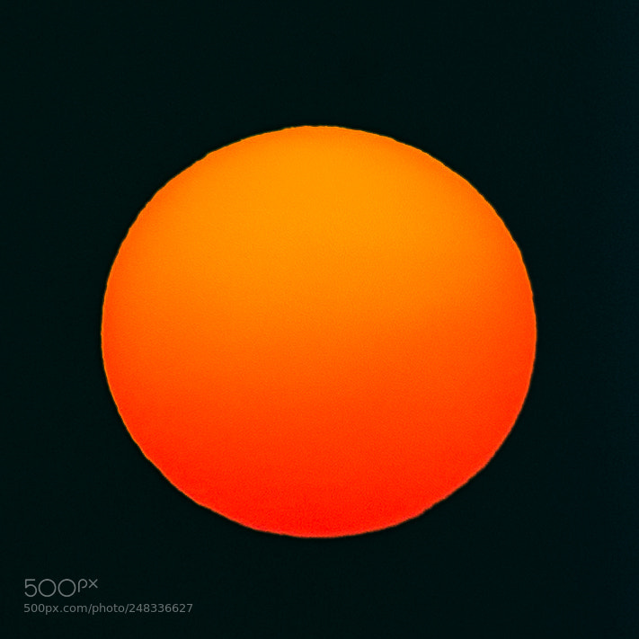 Nikon D610 sample photo. The sun photography
