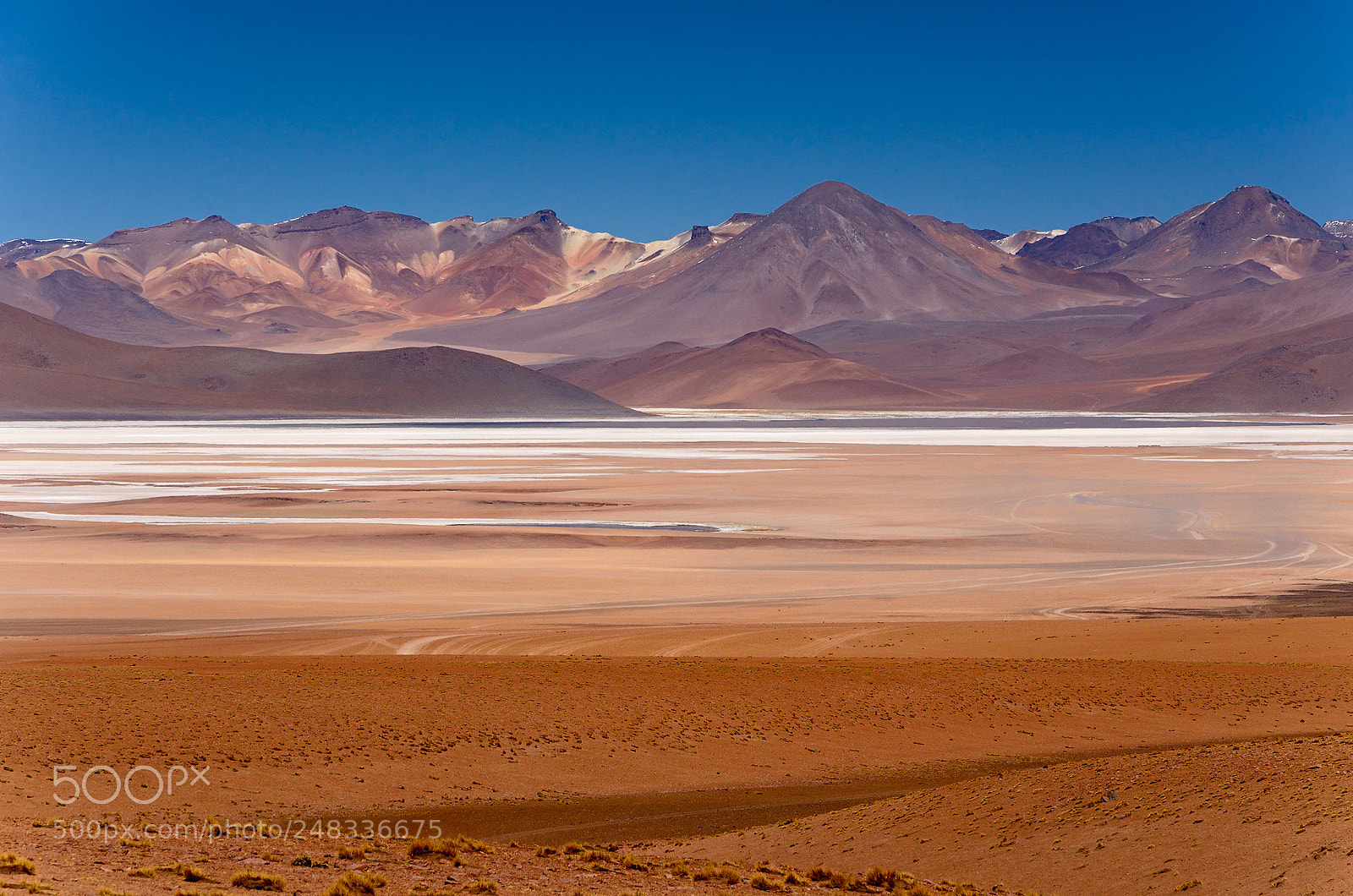 Nikon D5100 sample photo. United colors of bolivia photography