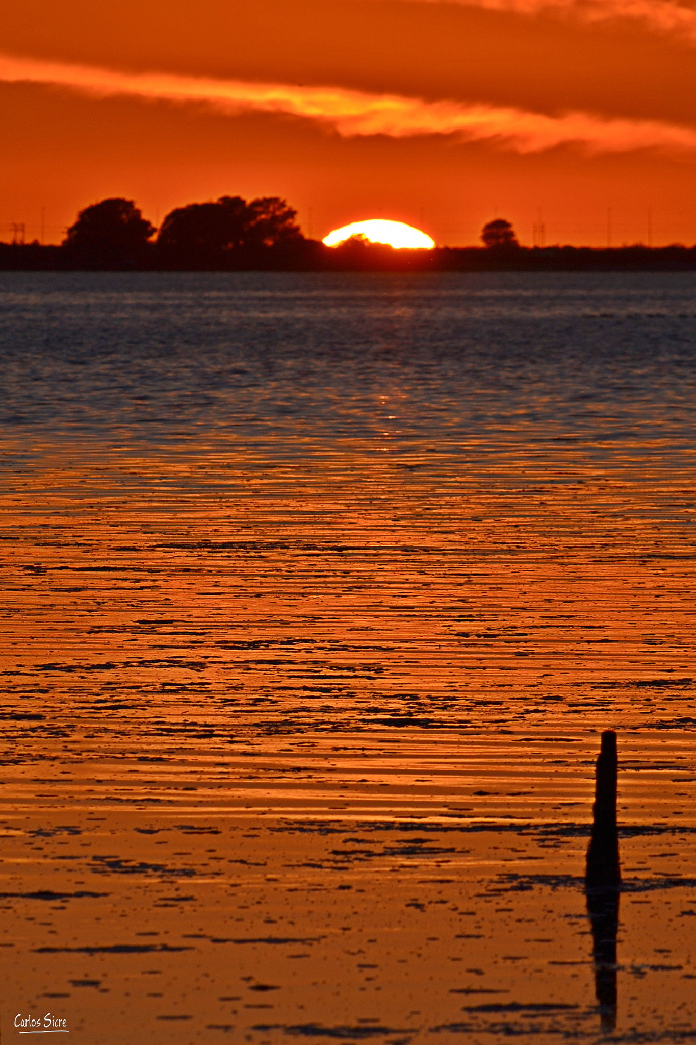 Nikon D3100 sample photo. C photography