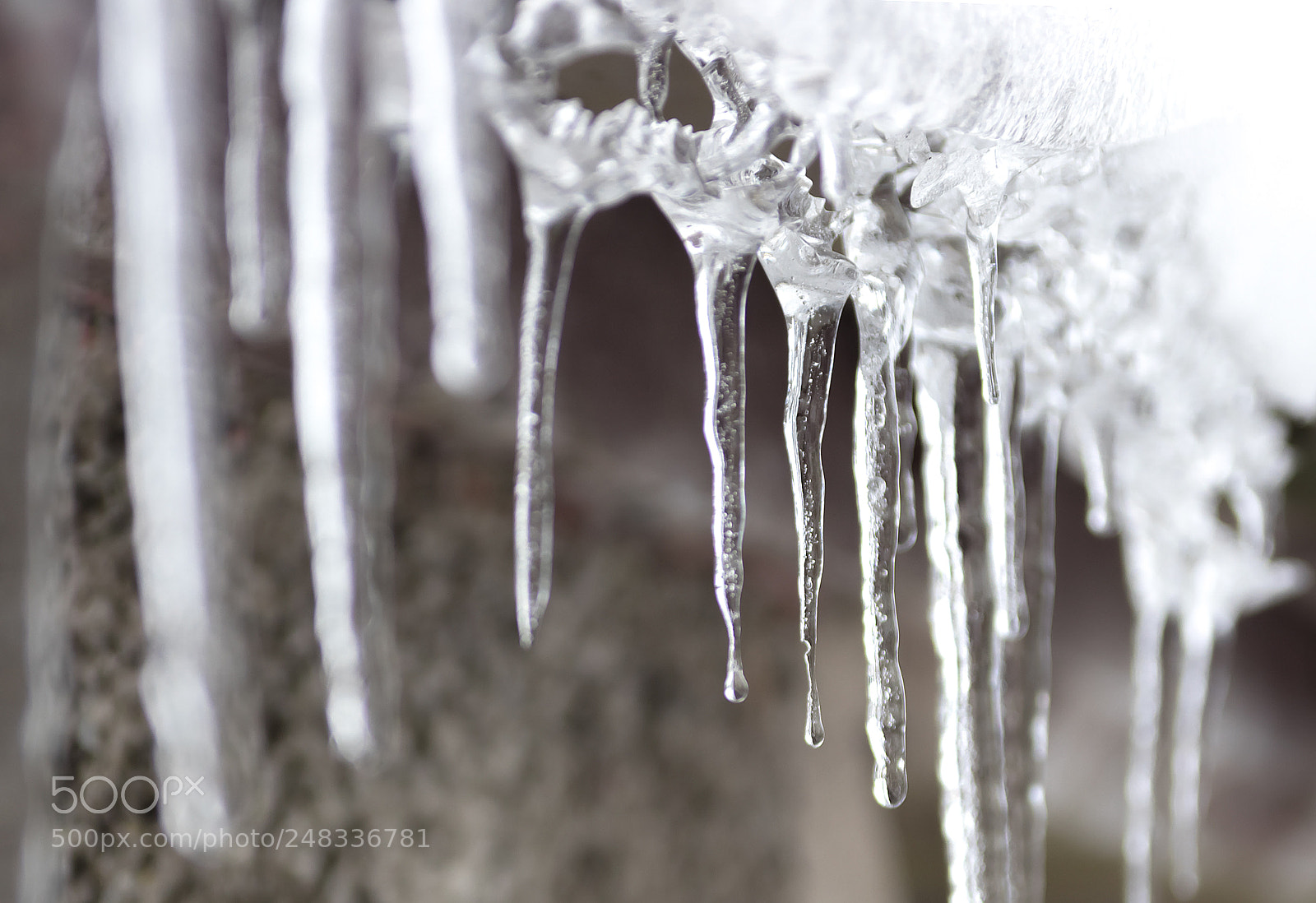 Canon EOS 80D sample photo. Icicles photography
