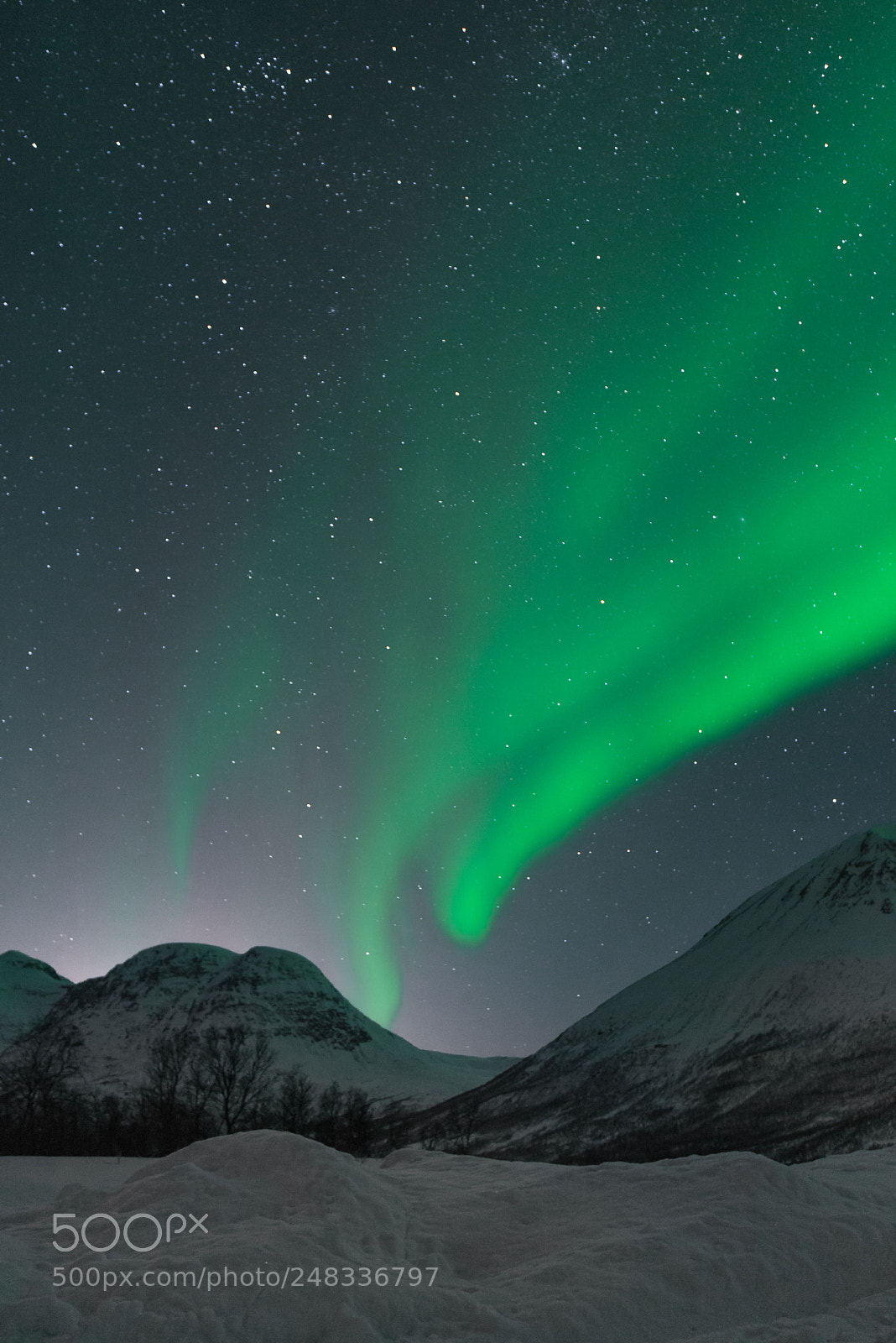 Nikon D610 sample photo. Aurora borealis photography