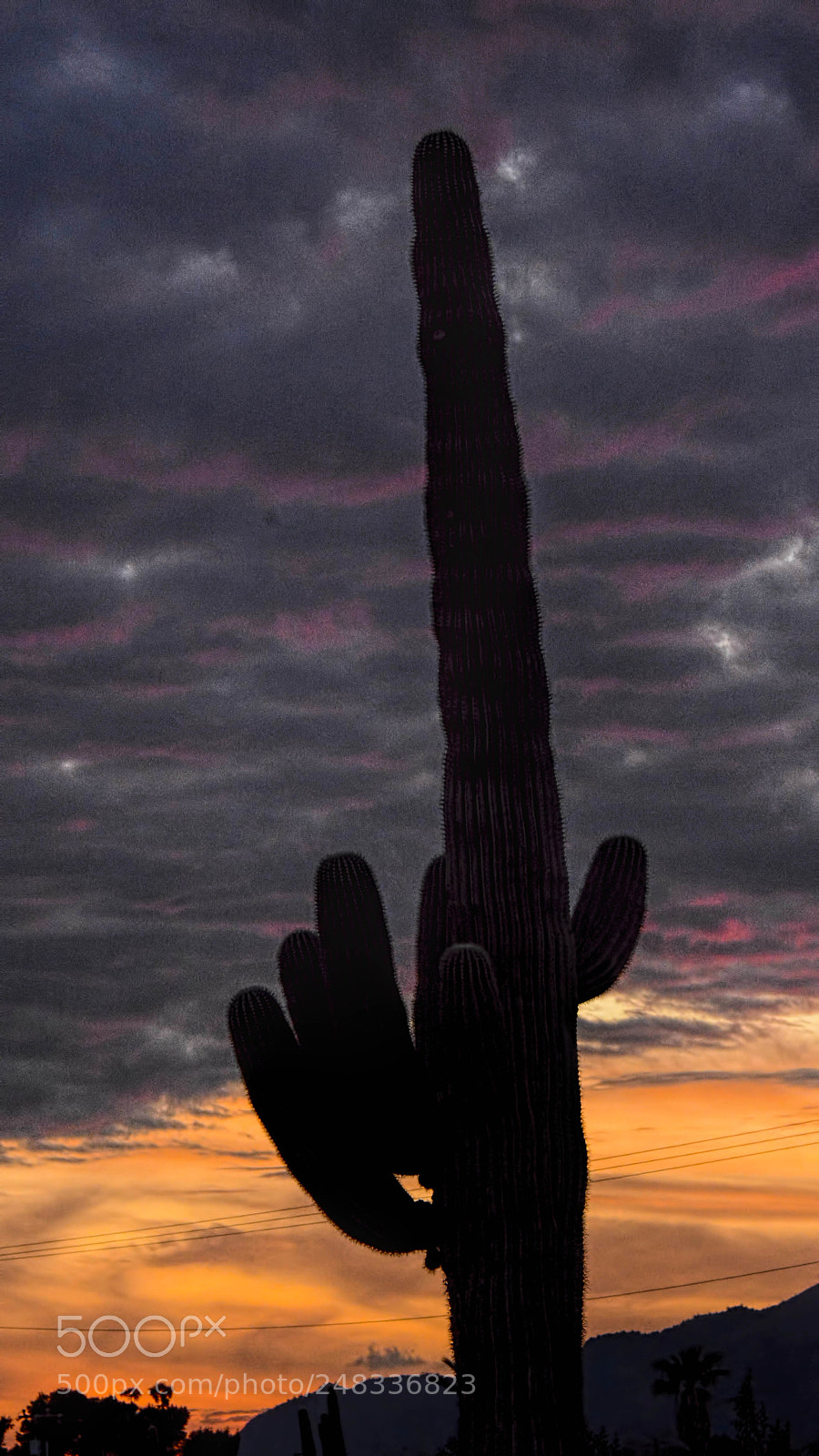 Nikon D7100 sample photo. Arizona sunset photography