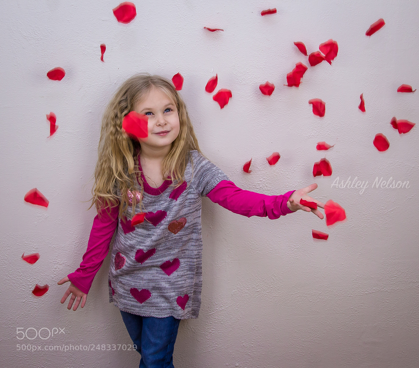 Canon EOS 1200D (EOS Rebel T5 / EOS Kiss X70 / EOS Hi) sample photo. Rose petals photography