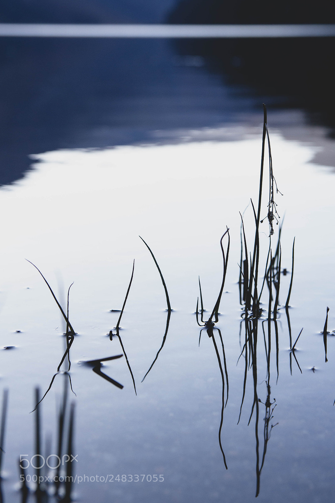 Canon EOS 60D sample photo. Shapes of water photography
