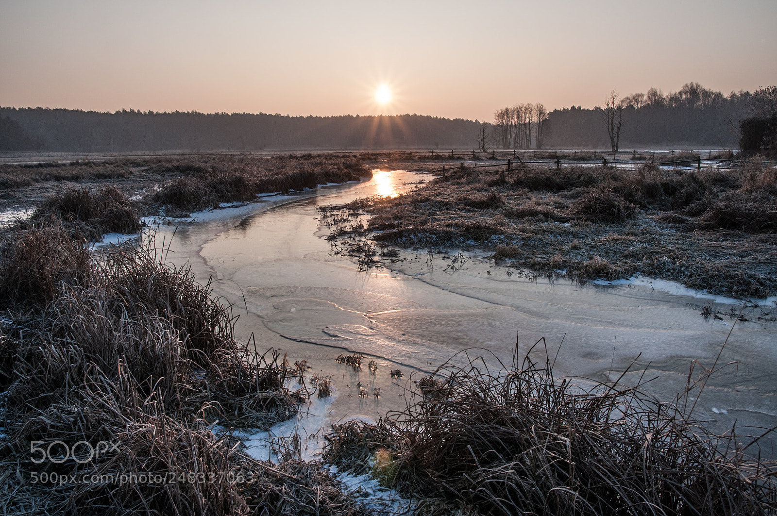 Nikon D90 sample photo. Frozen river photography