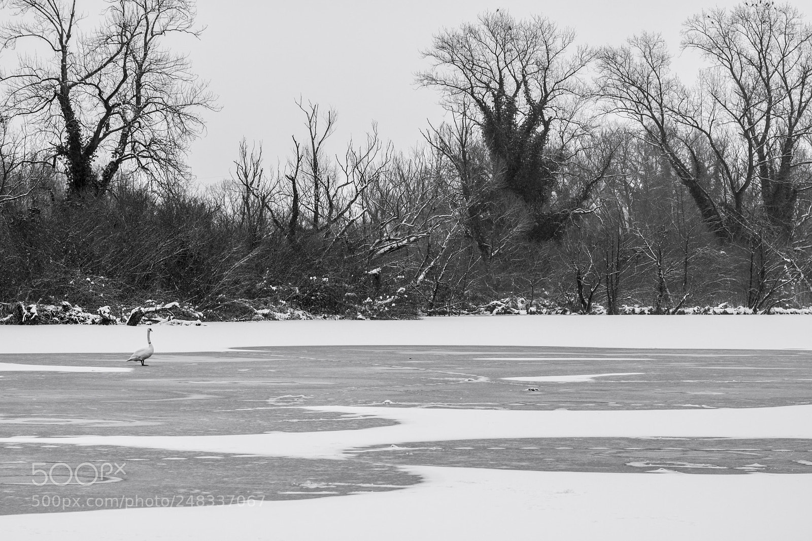 Canon EOS 760D (EOS Rebel T6s / EOS 8000D) sample photo. Img photography
