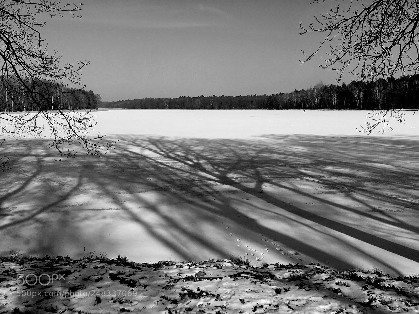 Apple iPhone SE sample photo. Walking on ice photography