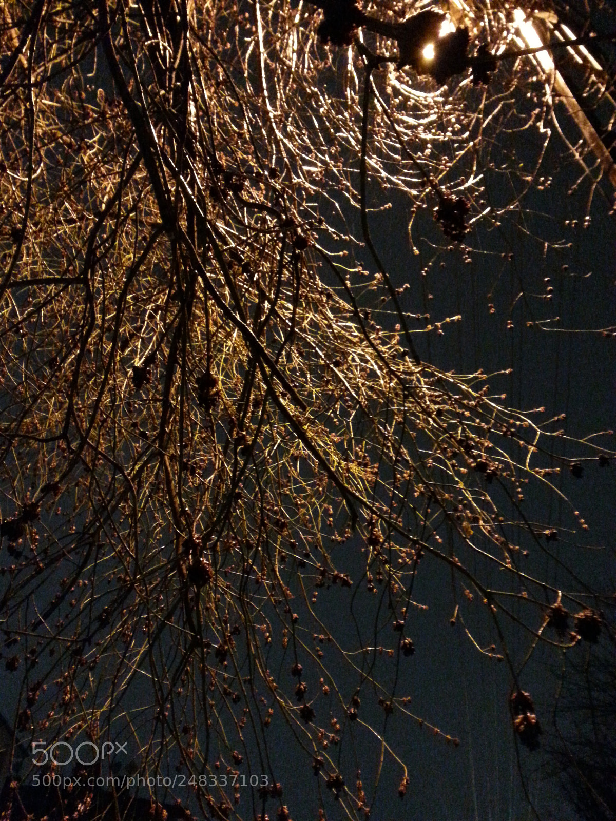 Samsung Galaxy Note2 sample photo. N.... photography