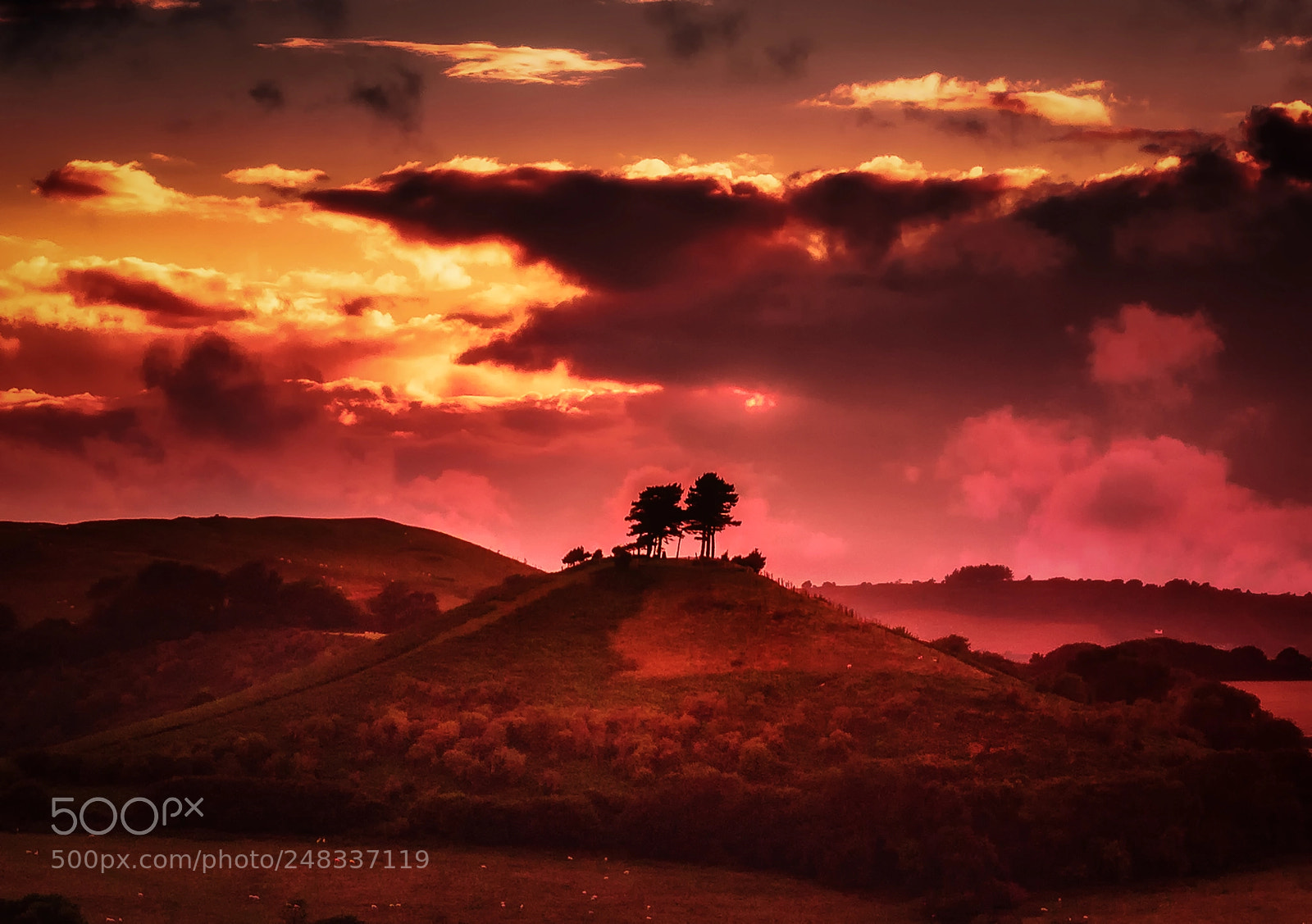 Nikon D810 sample photo. Colmers hill sunset photography
