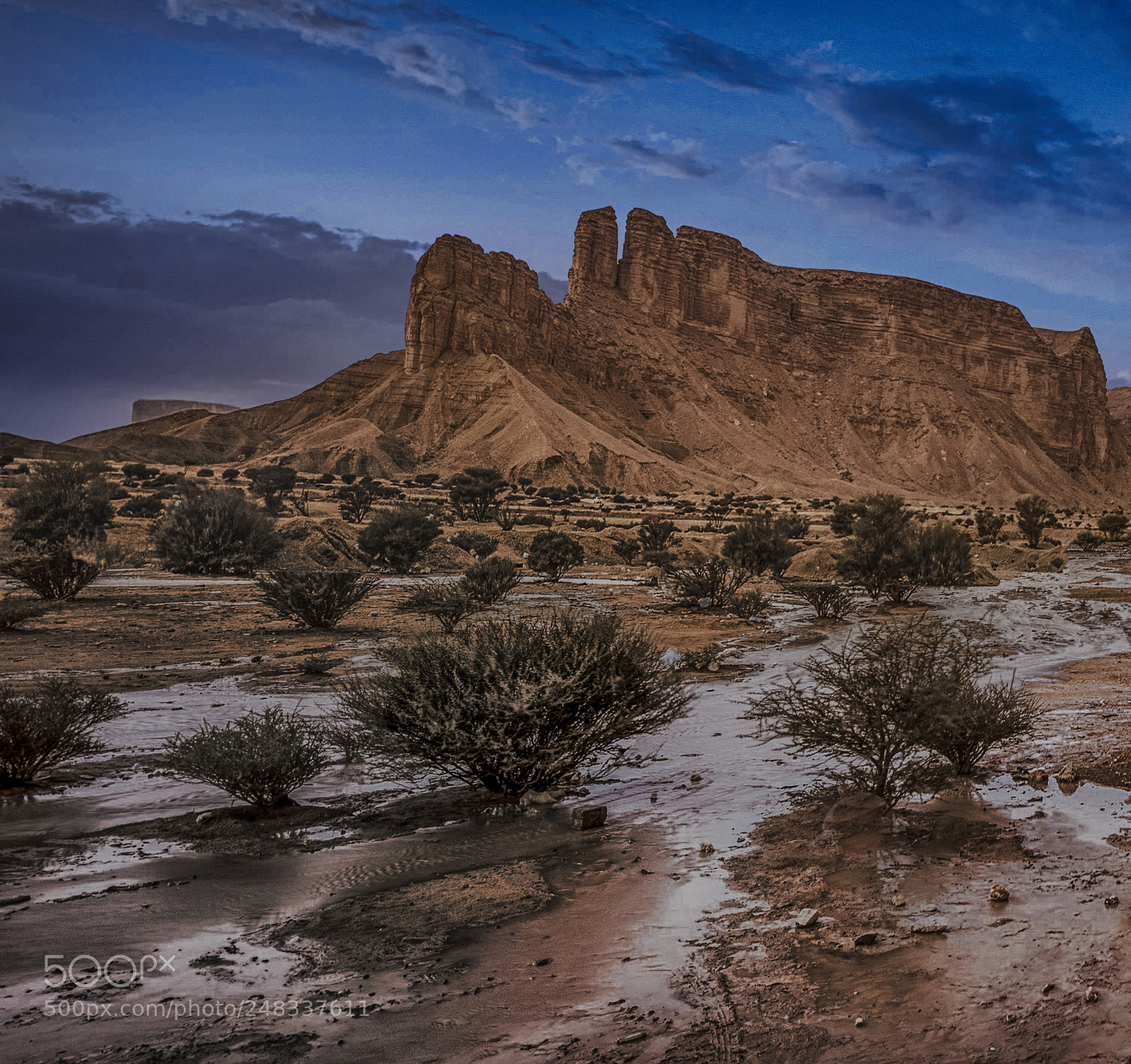 Nikon D810 sample photo. Rain in the desert photography