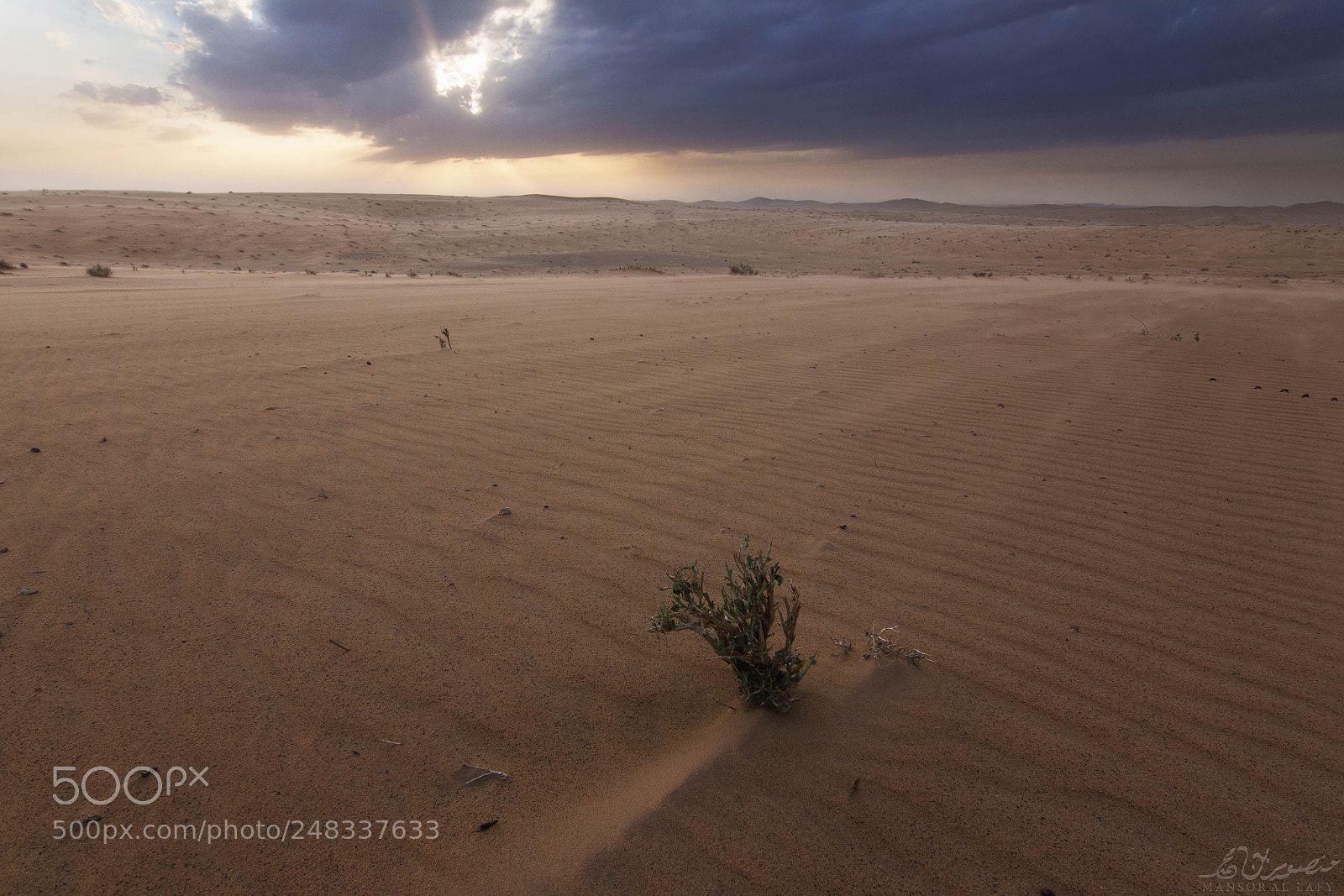 Canon EOS 650D (EOS Rebel T4i / EOS Kiss X6i) sample photo. Desert flows photography