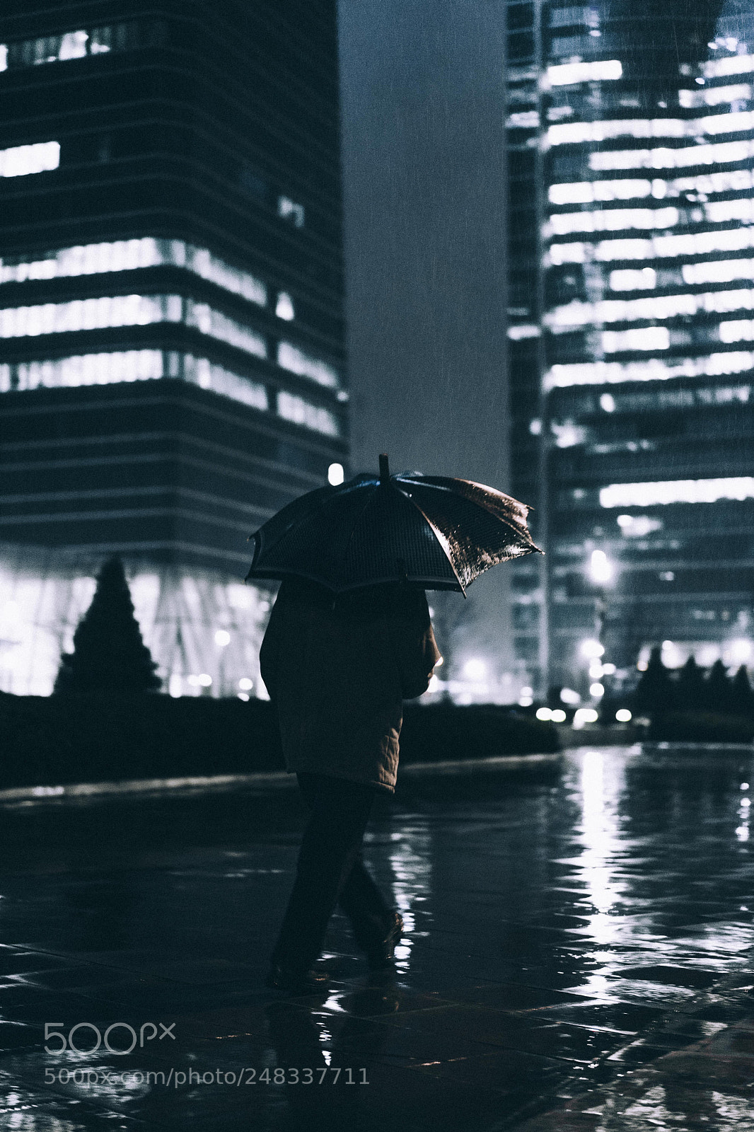 Sony a7 II sample photo. Rainy days photography