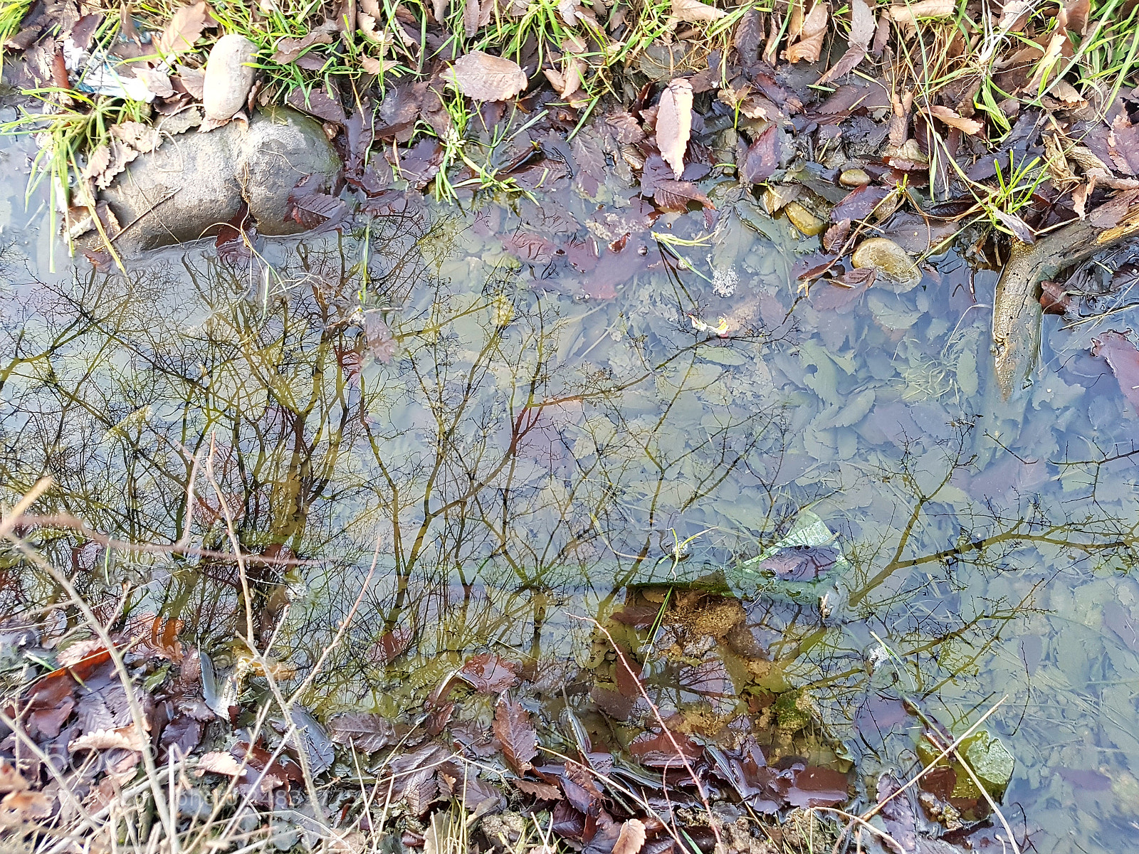 Samsung Galaxy S7 sample photo. Untitled photography