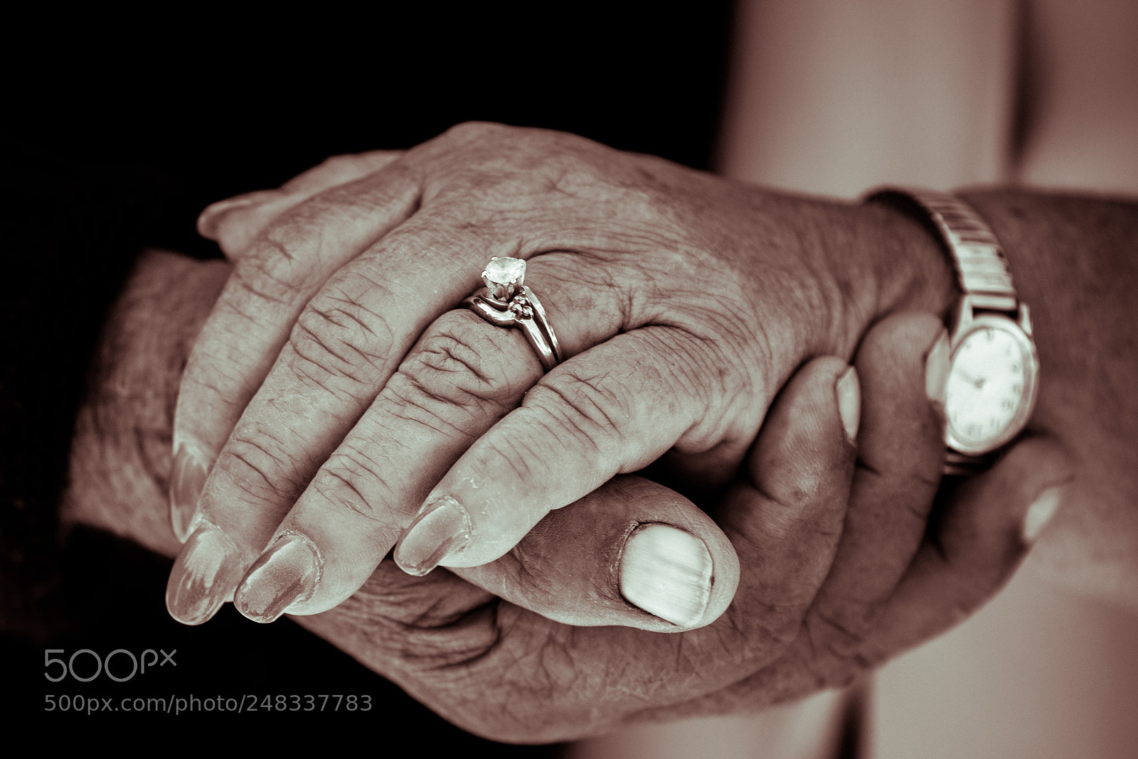 Nikon D810 sample photo. 50 years photography