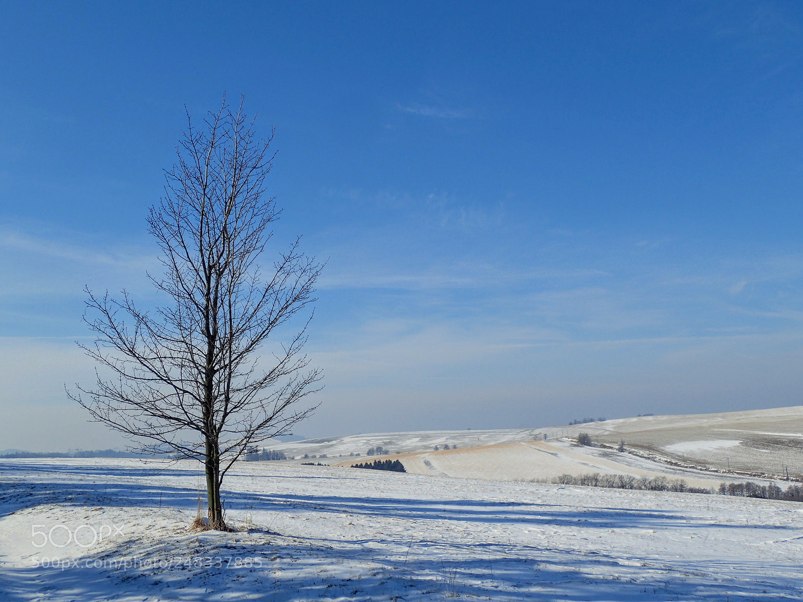 Olympus TG-4 sample photo. Winter 2 photography