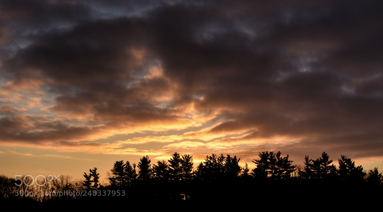 Nikon D3400 sample photo. Sky on fire photography