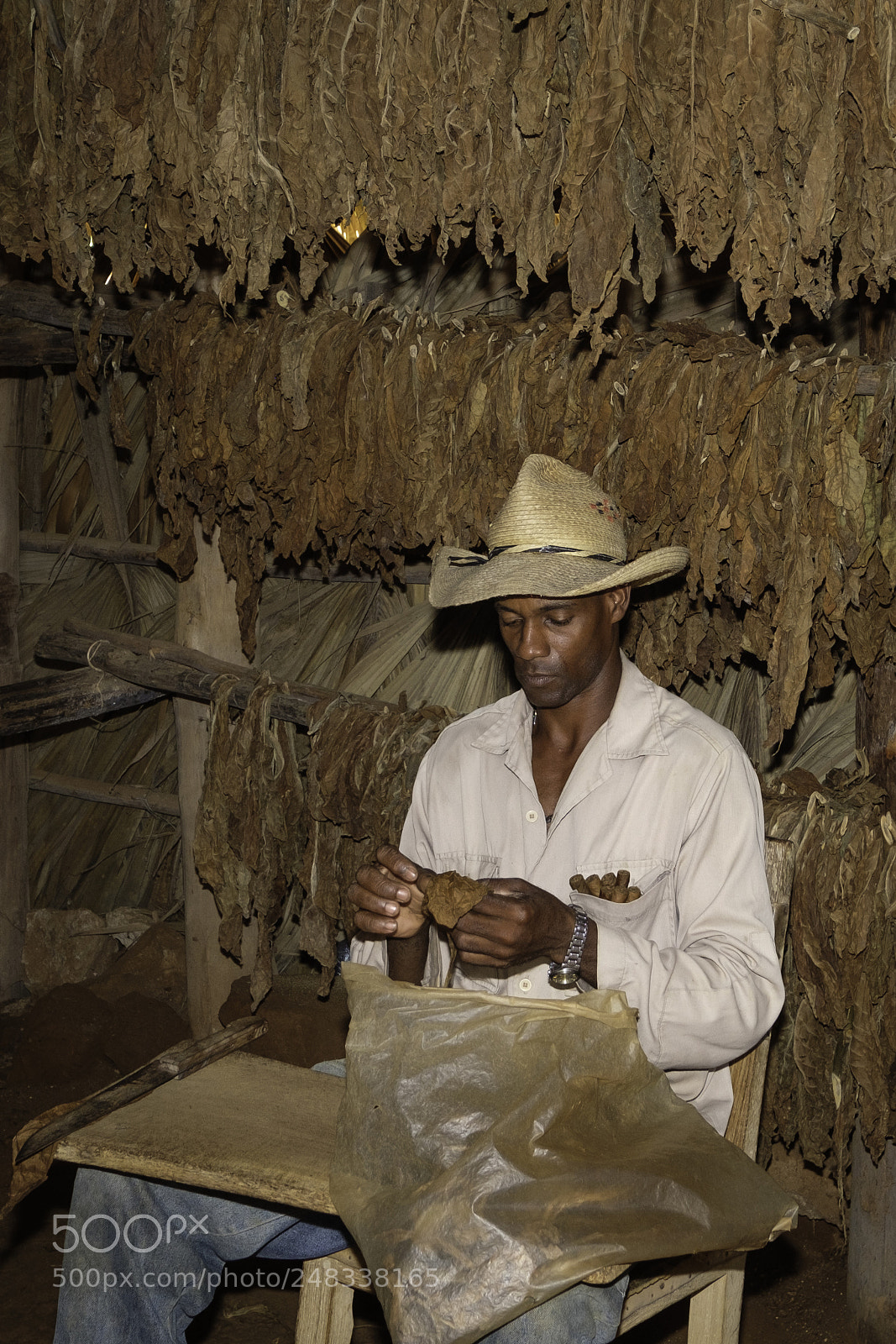 Fujifilm X-T2 sample photo. Creation of cuban cigars photography