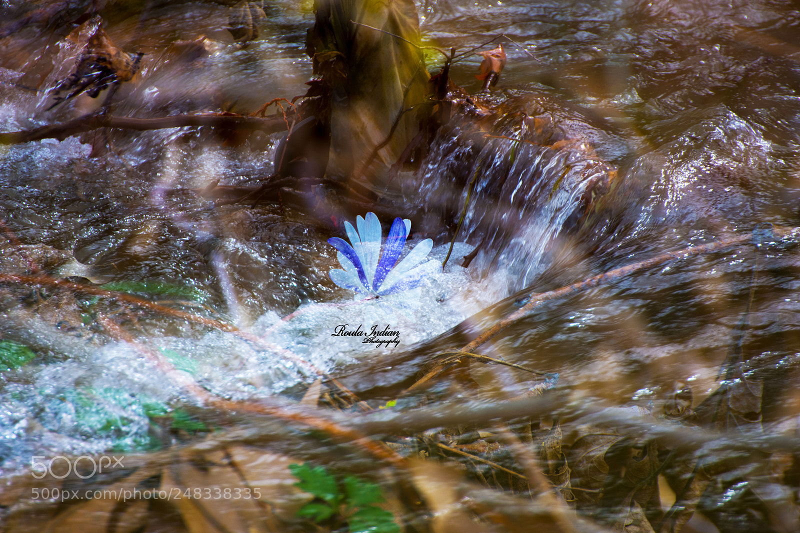 Nikon D7200 sample photo. Untitled photography