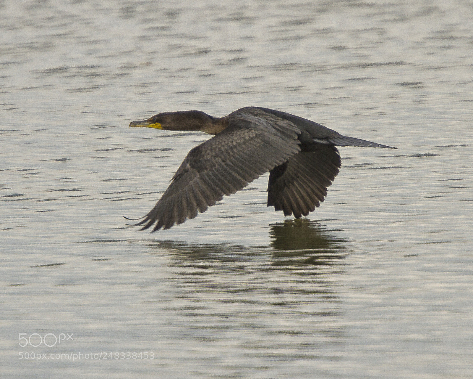 Canon EOS 7D sample photo. Untitled photography