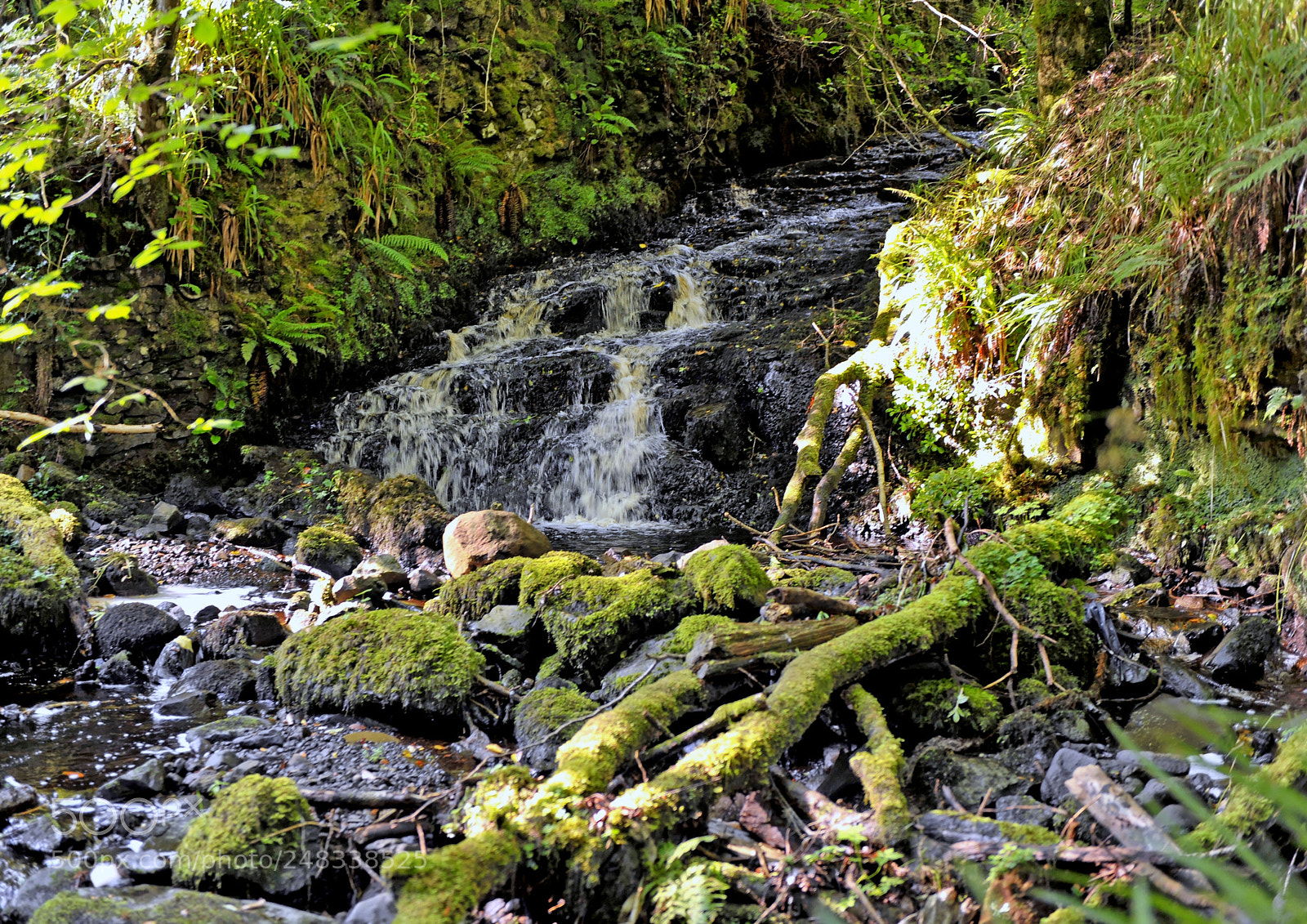 Nikon D700 sample photo. Glenariff forest park northern photography