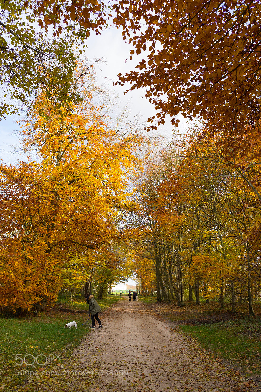 Sony a7 II sample photo. Chantilly automne a7m2 batis photography