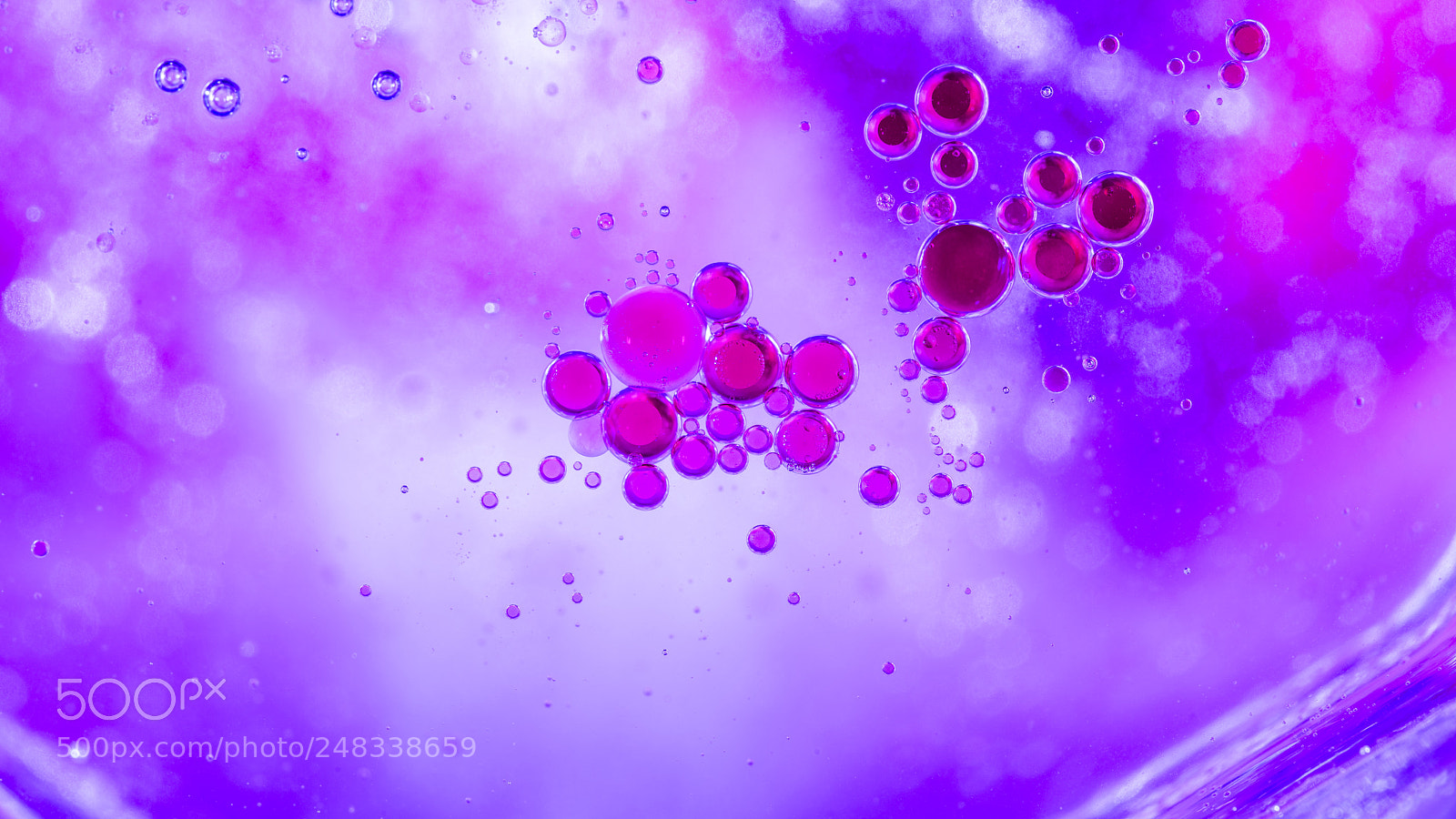 Nikon D800 sample photo. Bubbles photography