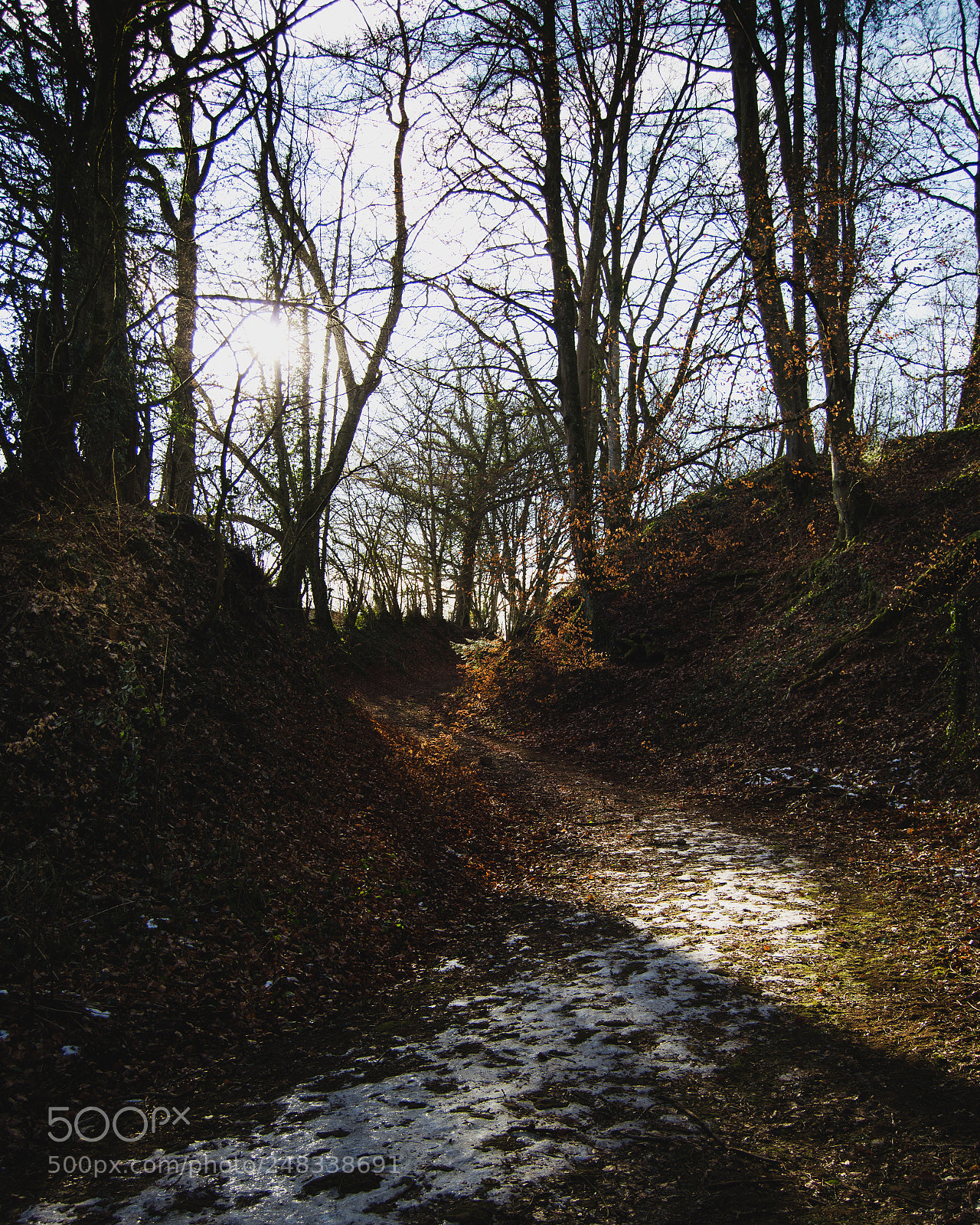 Nikon D3200 sample photo. Le changement! photography