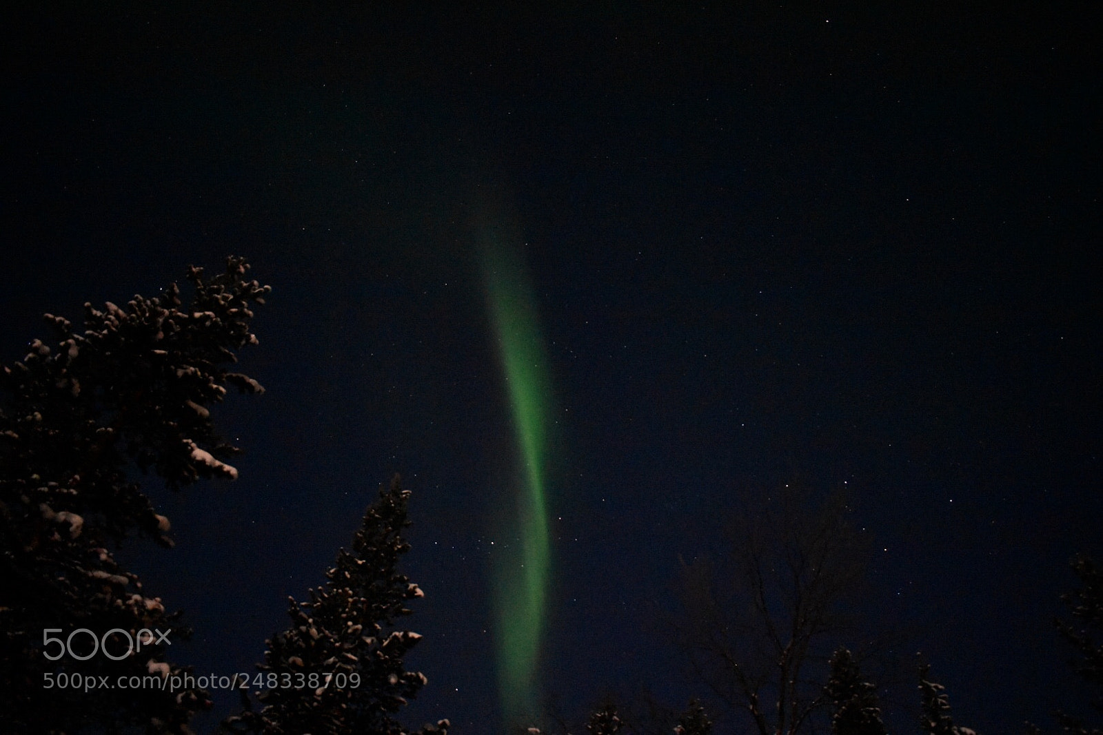 Nikon D5600 sample photo. Touch of aurora photography