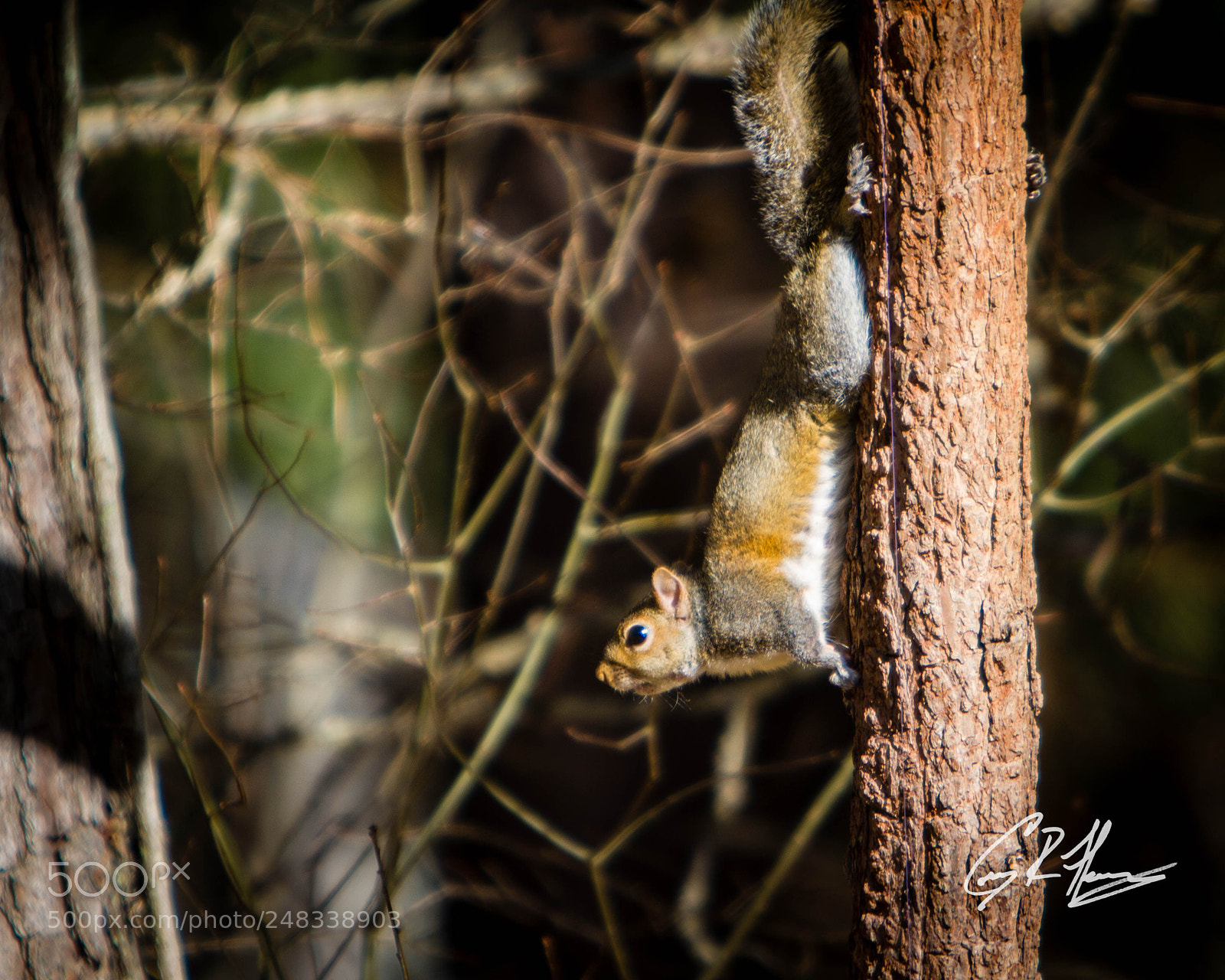 Canon EOS 7D sample photo. Untitled photography
