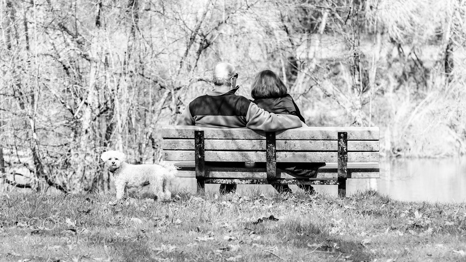 Nikon D800 sample photo. Couple on a bench photography