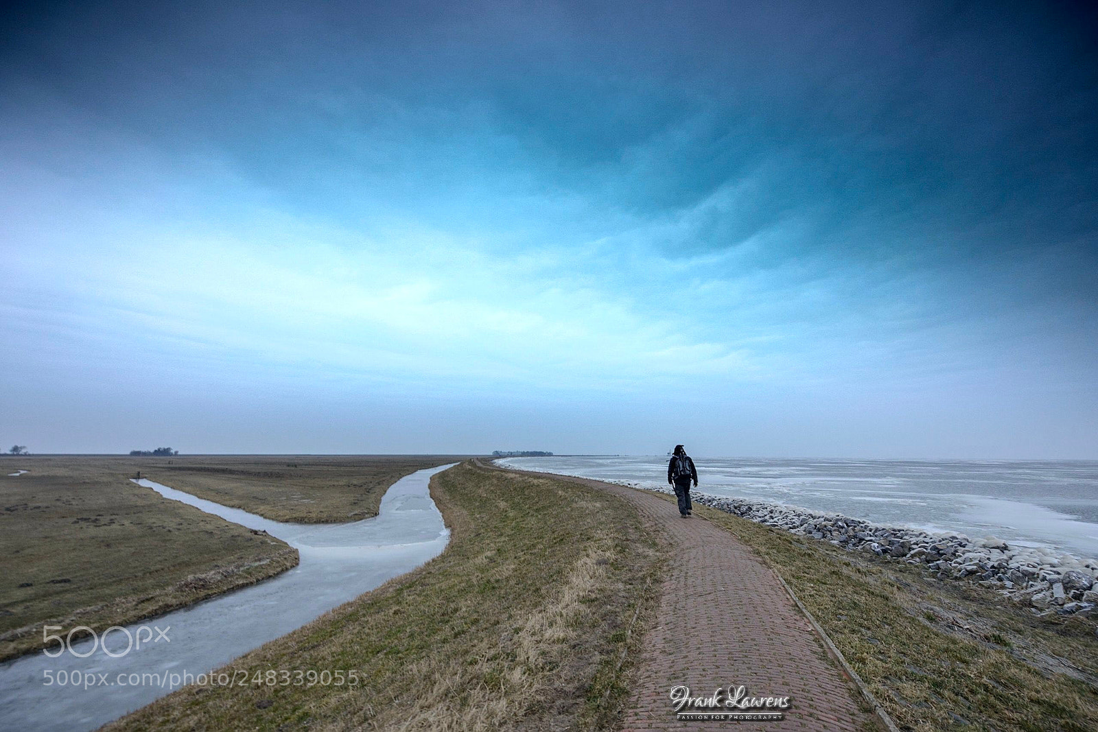 Nikon D800 sample photo. Walking my way photography