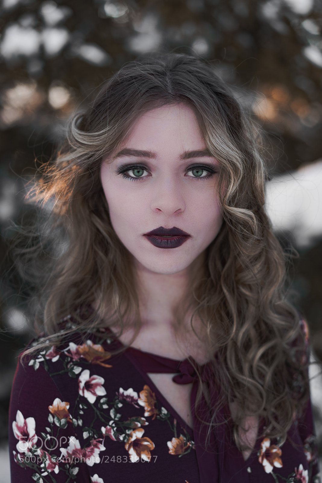 Sony a7R sample photo. Last light of winter photography