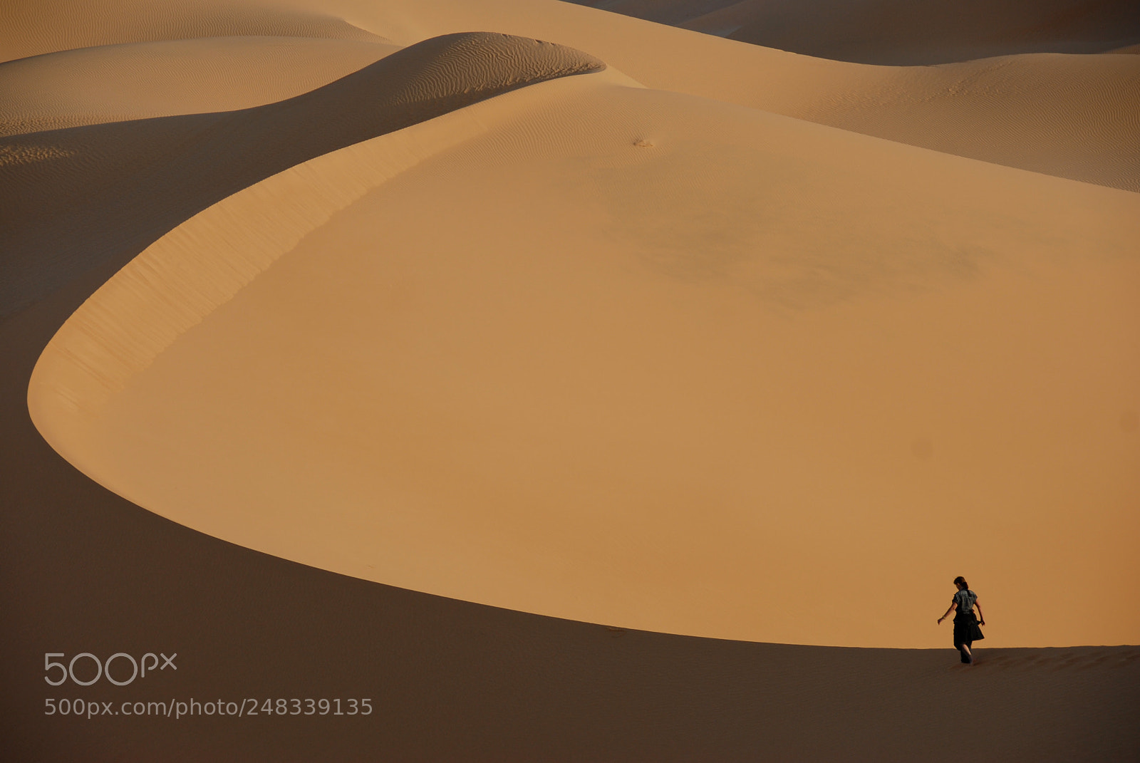 Nikon D200 sample photo. Algeria erg d' admer photography