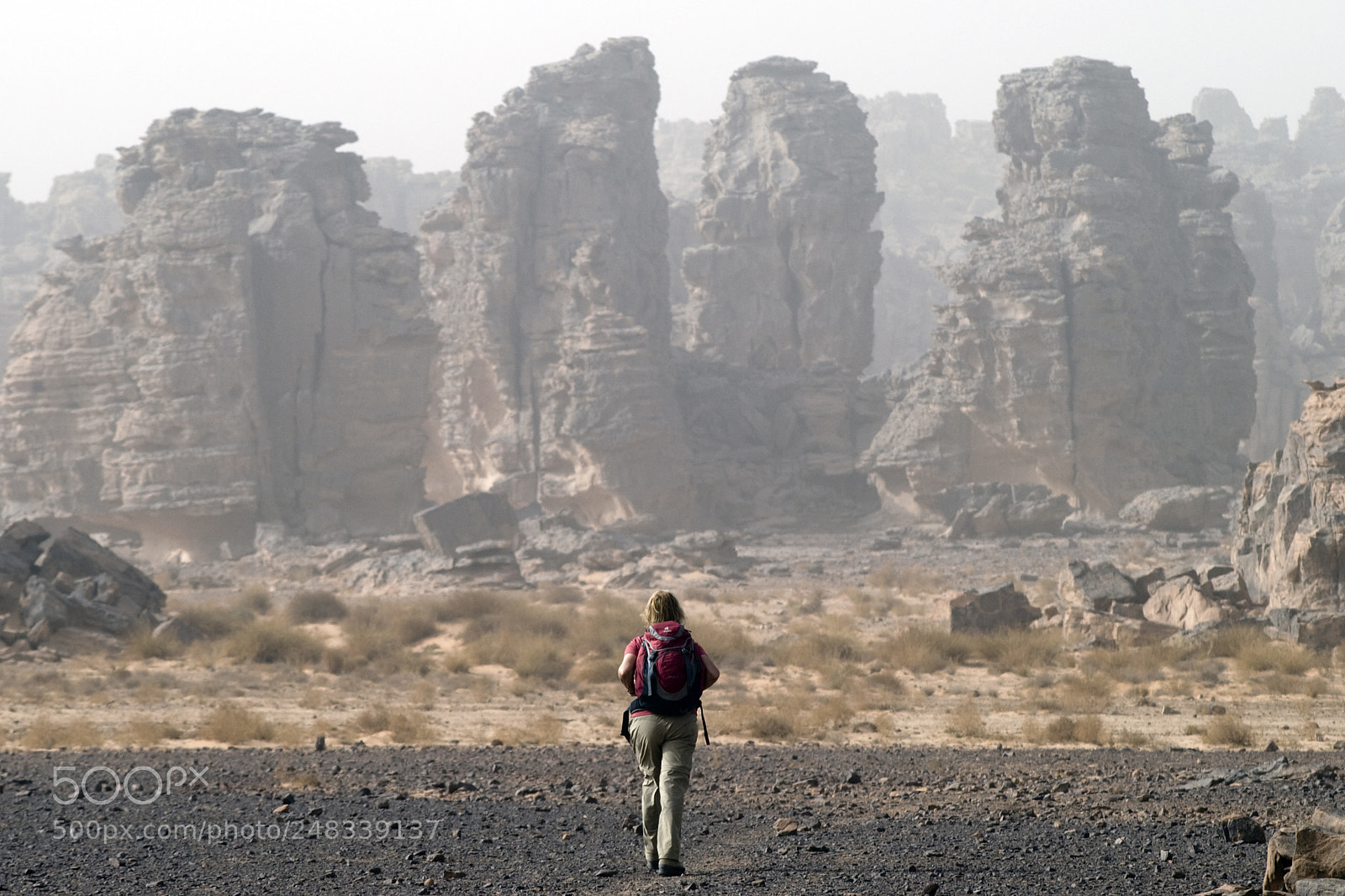 Nikon D80 sample photo. Algeria tassili photography