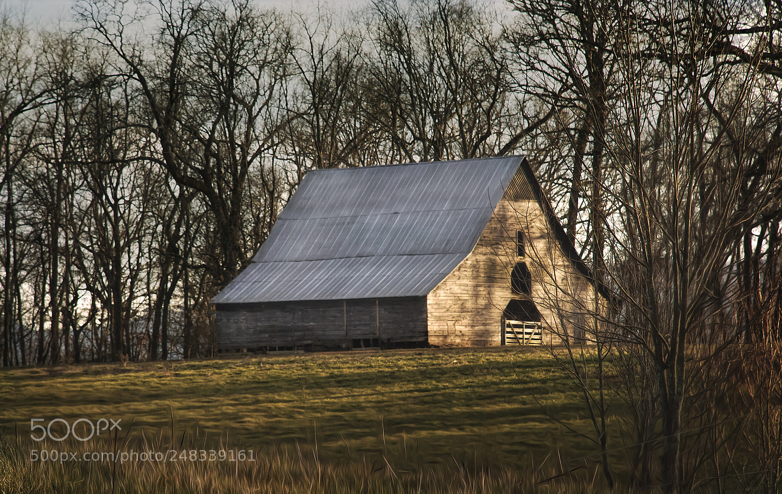 Nikon D7100 sample photo. Blue roof photography