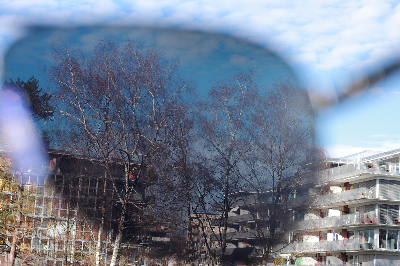 Canon EOS 500D (EOS Rebel T1i / EOS Kiss X3) sample photo. Tree behind the glasses photography