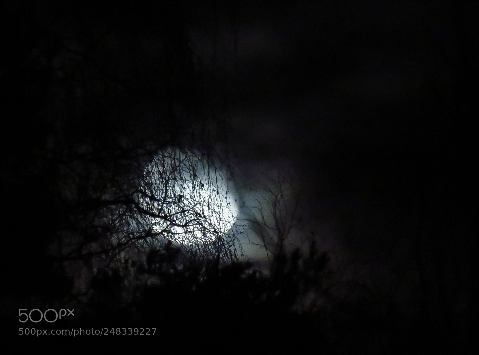 Canon PowerShot SX60 HS sample photo. Spooky... photography