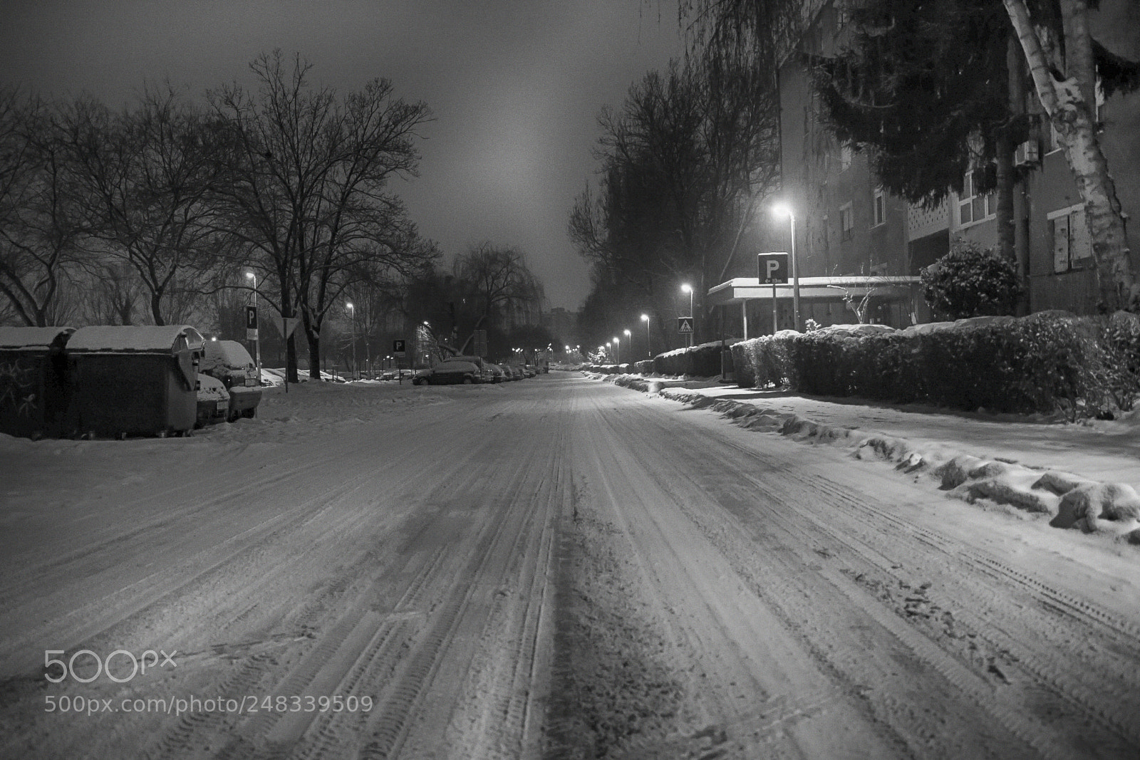 Canon EOS 40D sample photo. By night photography