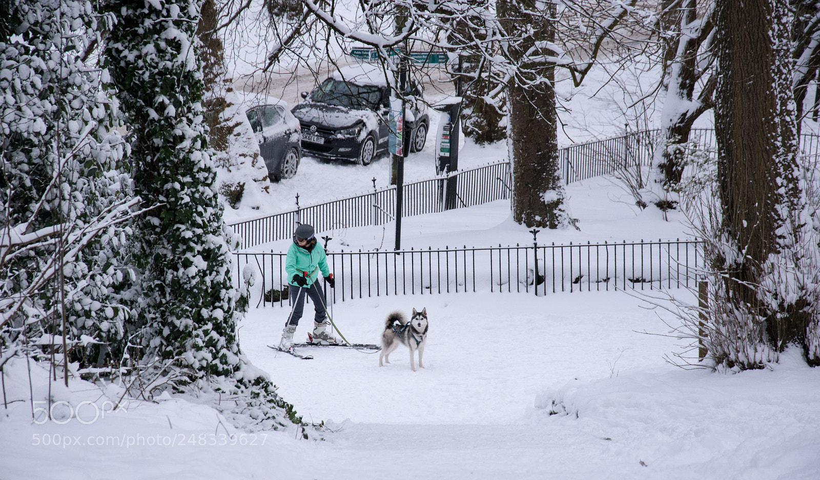 Nikon D7200 sample photo. This scene, in the photography