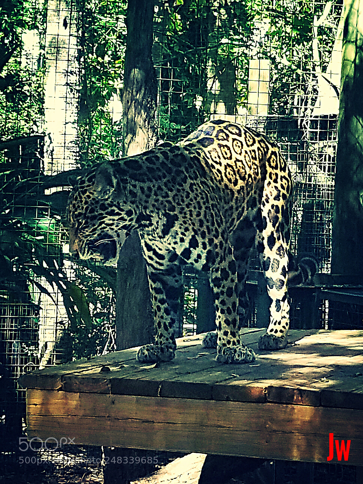 Samsung Galaxy S8 sample photo. Untitled photography