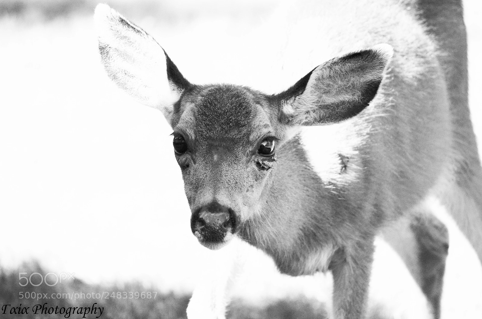 Nikon D5100 sample photo. Untitled photography