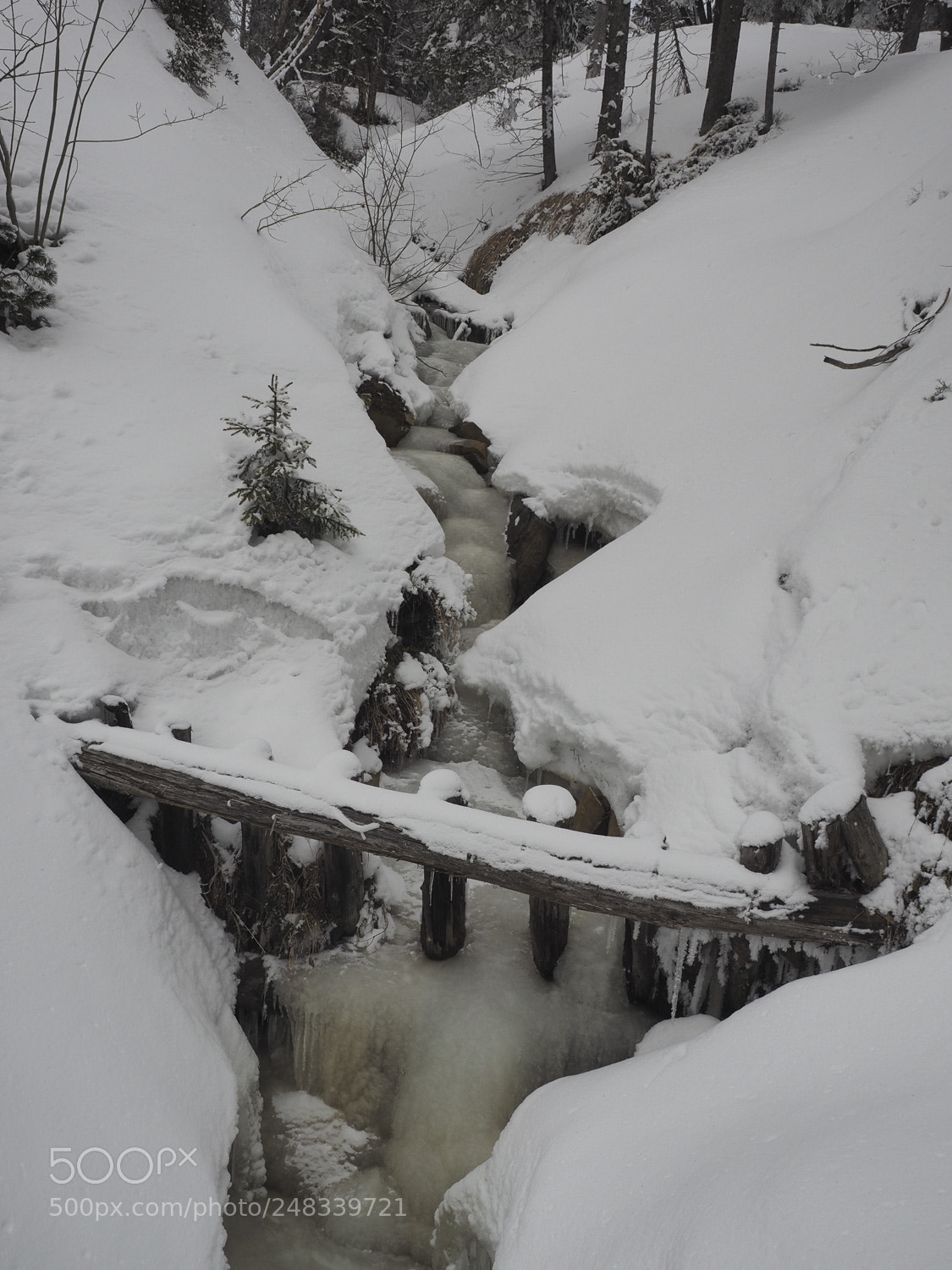 Olympus OM-D E-M1 sample photo. Gefrorener fluss photography