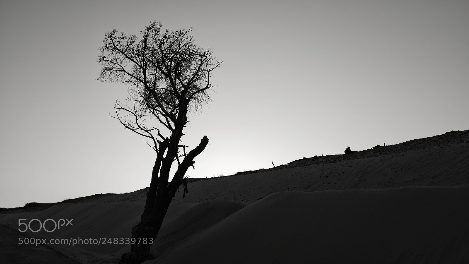 Fujifilm X100T sample photo. Dune photography