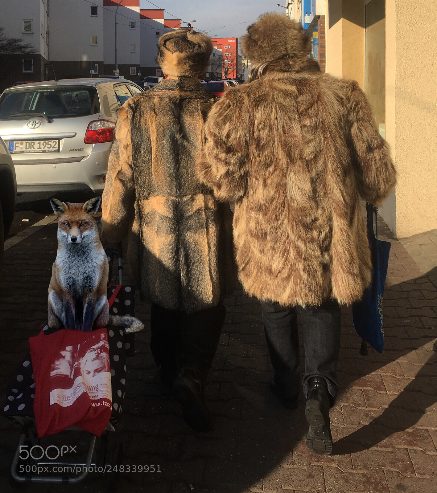 Apple iPhone 6s sample photo. Fur  2018 roman dubrovsky photography