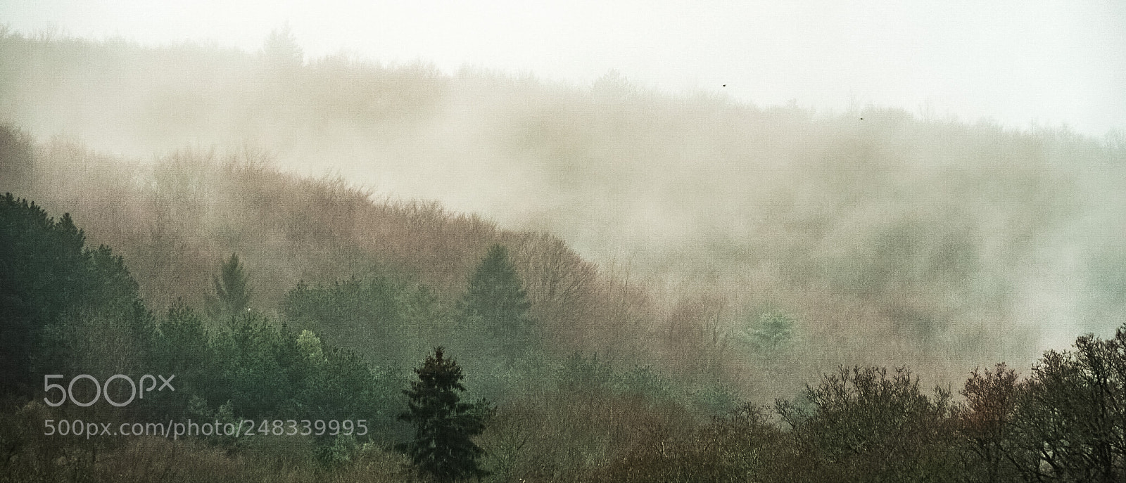 Olympus PEN-F sample photo. Le matin photography