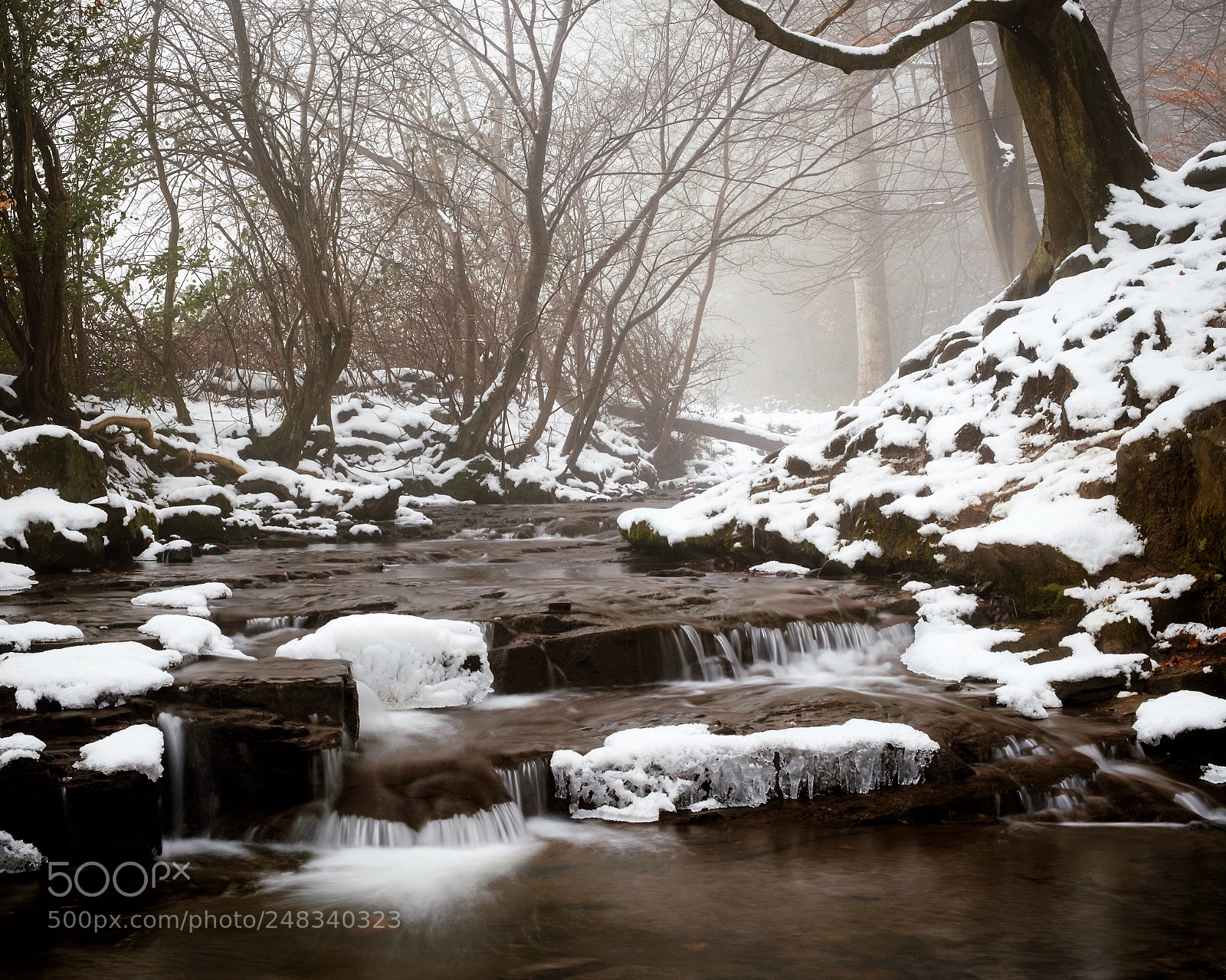 Fujifilm X-T1 sample photo. An eerie judy woods photography