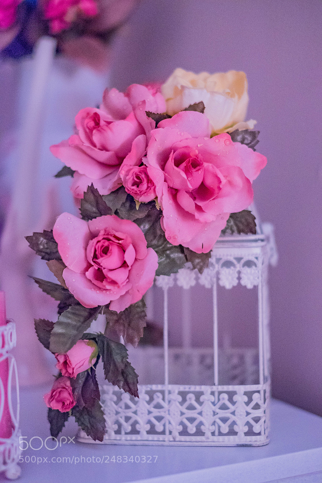 Fujifilm X-T10 sample photo. Room decor photography
